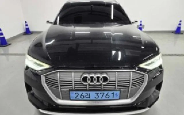 액티언스포츠 중고차 e-트론 55 콰트로 매물 사진 18 - 2022/01 98,803km